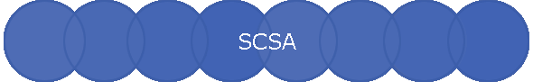 SCSA